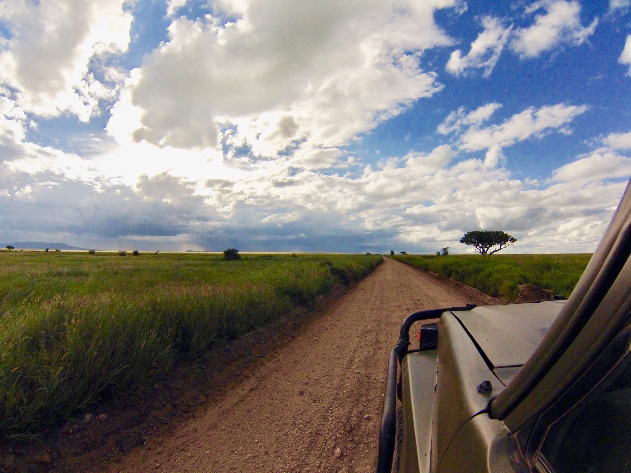 Why Do We Travel?_EL_Mundo_Safaris